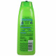Garnier Fructis shampoo 300 ml. Strenght & brightness.