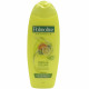 Palmolive shampoo 350 ml. Fresh & volume citric.