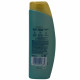 H&S champú 300 ml. Anti-dandruff X PRO Reconstructor para cabello seco, muy seco.
