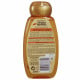 Garnier Original Remedies shampoo 250 ml. Argan & camelia.