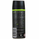 AXE desodorante bodyspray 150 ml. You.